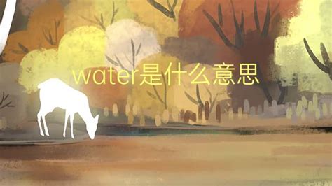 water是什么意思 water的中文翻译、读音、例句-一站翻译