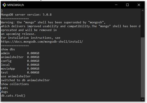 How to Use Mongo Shell 的图像结果