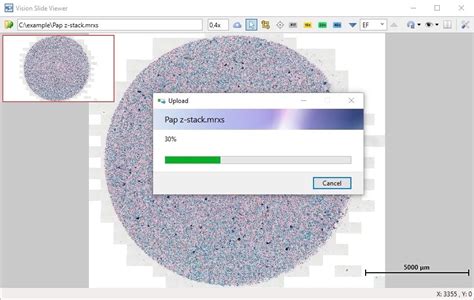 Slide Viewer for Computer 的图像结果