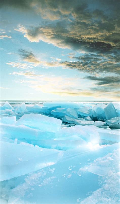 Exploring the Frozen Tundra: Wildlife Adaptations