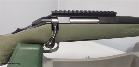 Ruger American predator 308
