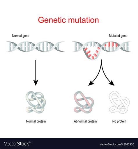 DNA Mutation 的图像结果