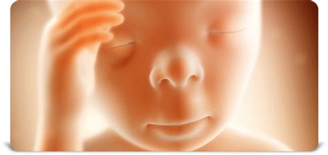 刚出生的婴儿肚子里，竟然还有一个胎儿！概率只有五十万分之一的胎中胎| 果壳 科技有意思