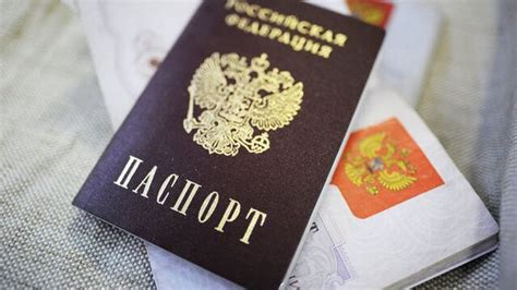 民调：29%俄罗斯人拥有出国护照，2%拥有申根签证 - 2022年9月20日, 俄罗斯卫星通讯社