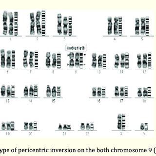 Image result for Abstract Methods of Collection Framework