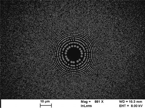 Atom Microscope 的图像结果