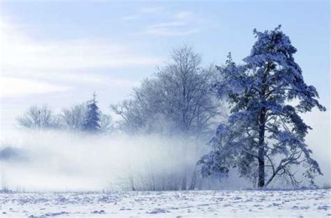 描写美丽的冬天的成语_