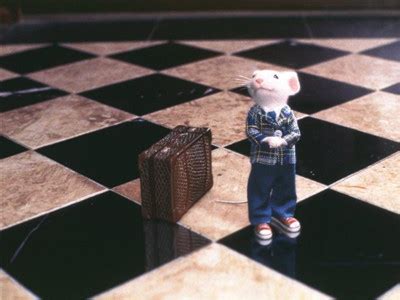 精靈鼠小弟2(2002)的海報和劇照 第1張/共36張【圖片網】