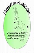 Image result for Bunny Baby Rabbit Care