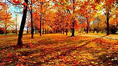 Autumn Season Background by Wallpaper Fall Season 183 Wallpapertag Autumn Season Background