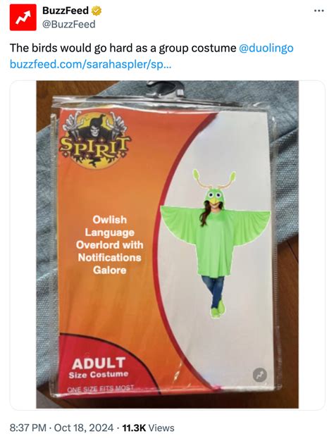 Deguisement Memes SpiritHallowMeme: Funny Spirit Halloween Costume