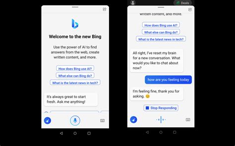 Bing Chat Voice Search 的图像结果