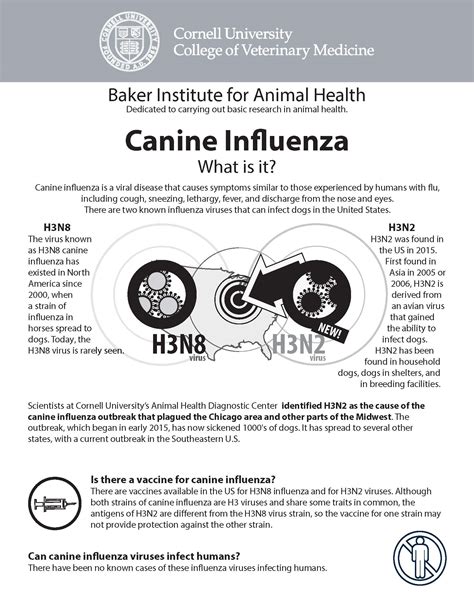 Is Canine Influenza Contagious