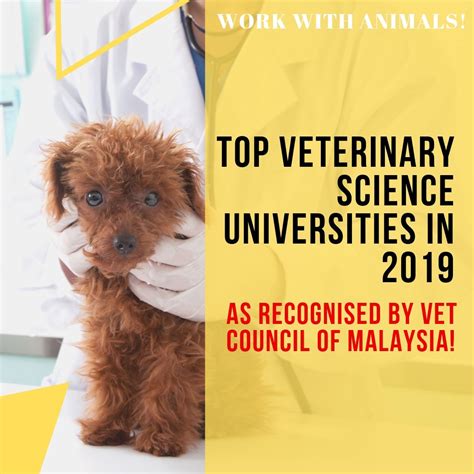 Veterinary University in Malaysia - JaxsonropLogan