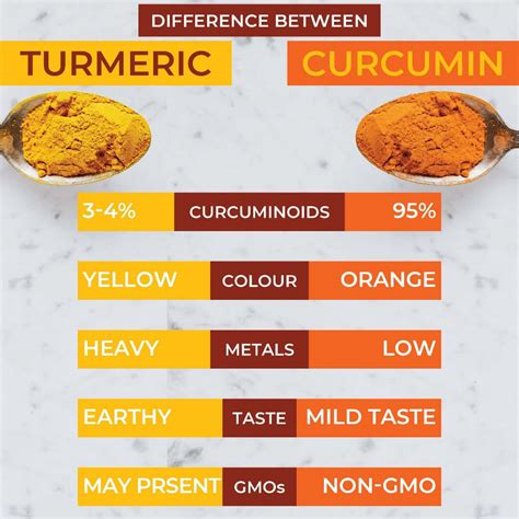 Premium Curcumin Powder With 95% Curcuminoids ( 50gms) – Saptamveda