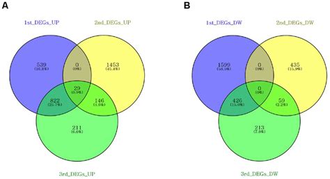Aging Model 的图像结果