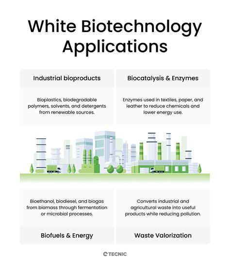What is White Biotechnology? Applications and future