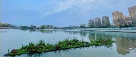 菏泽“两河”补换水解决120万方雨水污染_菏泽大众网
