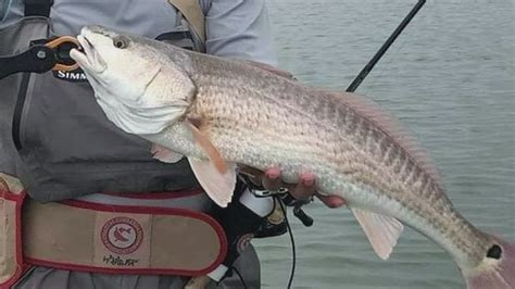 Fishermen provide input to Texas Parks & Wildlife Department | kiiitv.com