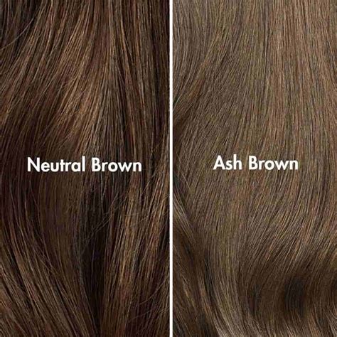 How do I choose the right color of brown extensions? | Level 5 hair ...