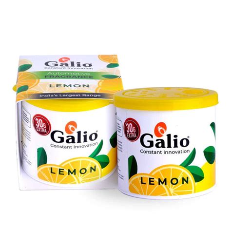 Explore New Arrivals from Galio | Galio India