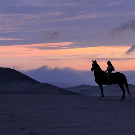 CABALGATAS (2026) All You Need to Know BEFORE You Go (with Photos ...