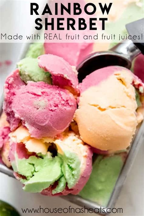 Image result for Multimedia Software Examples Images