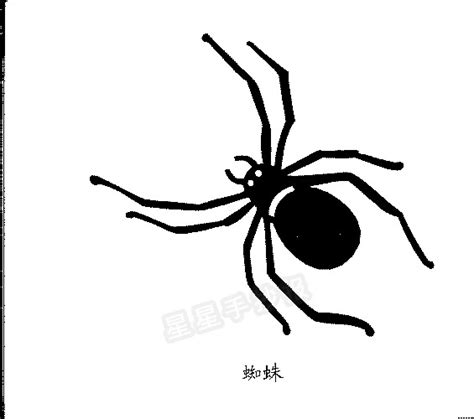 毒蜘蛛简笔画 恐怖图片