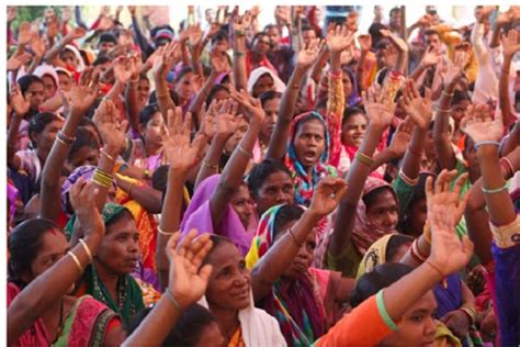 Dantewada’s organic farming model promising for sustainable livelihood