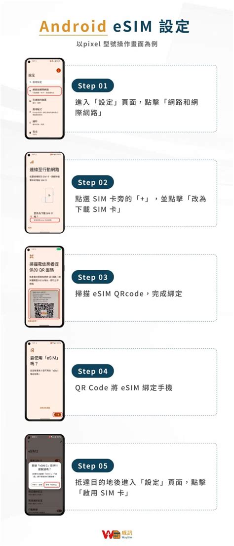 Esim Tutorial 的图像结果