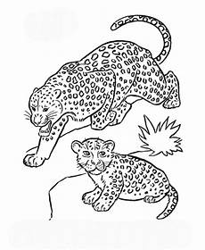 ausmalbilder tiere leopard ausmalbilder leopard gepard zum ausdrucken ausmalbilder tiere leopard ausmalbilder leopard gepard zum ausdrucken