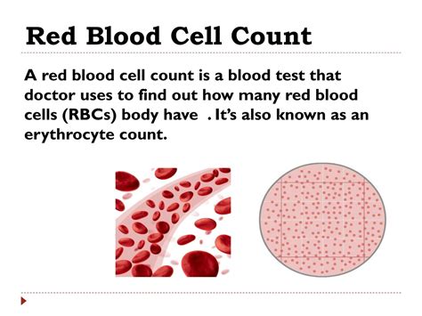 PPT - Blood Tests PowerPoint Presentation, free download - ID:8829182