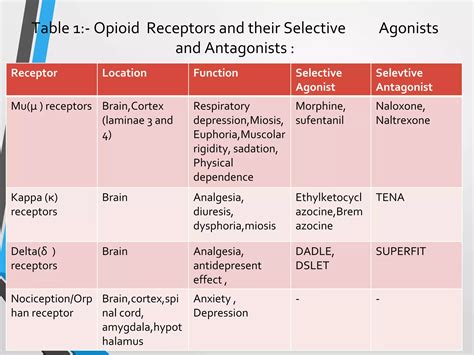 A REVIEW ON OPIOID RECEPTORS | PPTX
