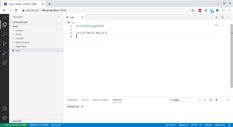 Image result for Visual Studio Server