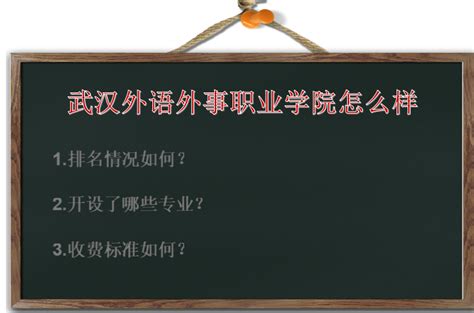 武汉外语外事职业学院招聘法语教师_专业