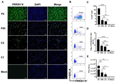 A Single Amino Acid Substitution in Porcine Reproductive and ...