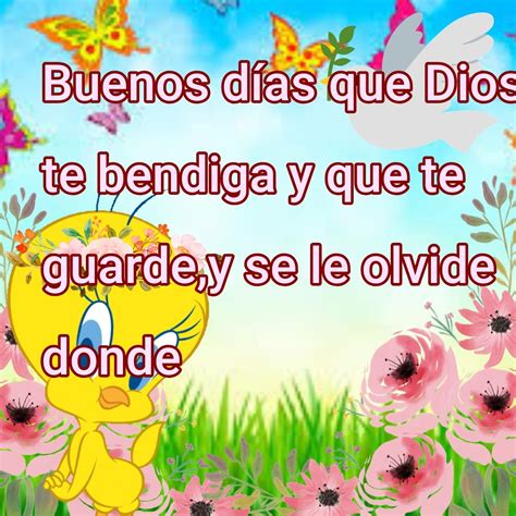 +50 Imágenes de Piolín con Mensajes de Buenos Días y Frases | Imágenes ...