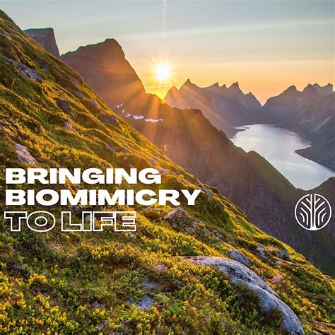 Bringing Biomimicry to Life: A Series, June 22 2023 | Online Event ...