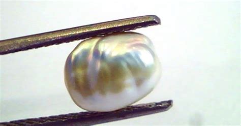 2.39 Carat Certified Natural Keshi Pearl,Certified Moti
