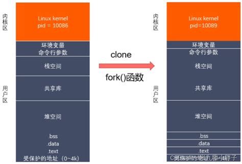 Windows File System Parent Process 的图像结果