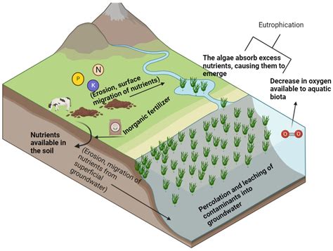 Microalgae-Based Biotechnology as Alternative Biofertilizers for Soil ...