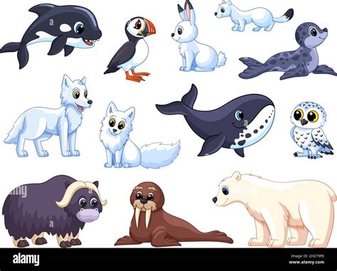 Arctic animals. Cartoon polar wolf, animal tundra. White bear and fox ...