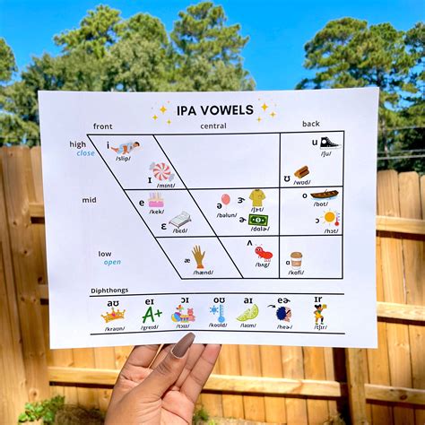 IPA Vowel Quadrilateral, Printable Download, PDF, Phonetics, Speech ...