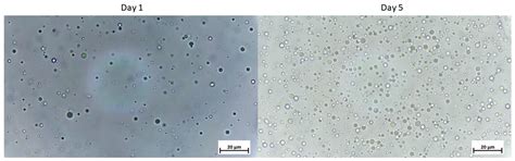 Effect of Gum Acacia on the Intestinal Bioavailability of n-3 ...