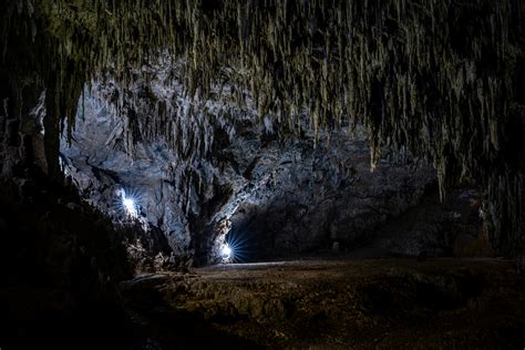 Earth No Background 的图像结果