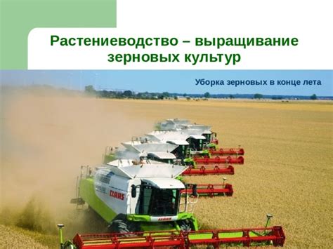 Презентация по теме "Растениеводство"