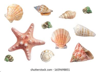 Sea Clip Art 的图像结果