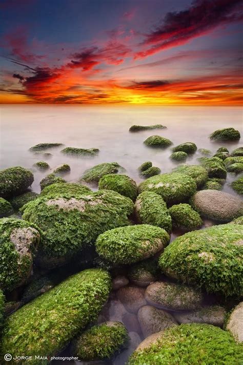 Environment Photography 的图像结果