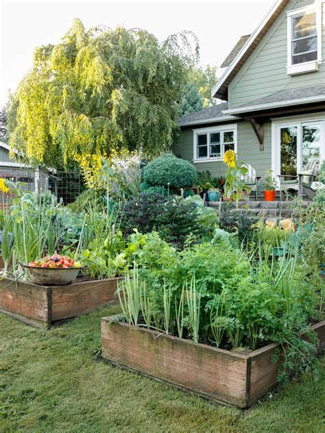25 Raised Garden Bed Ideas for Growing Veggies and Flowers