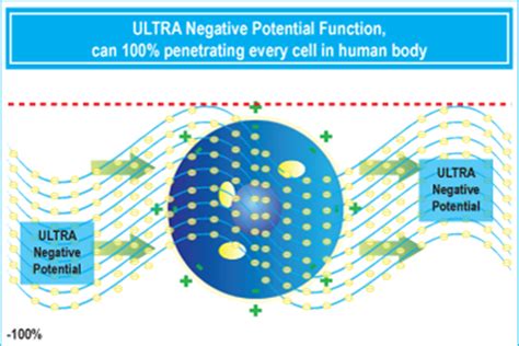Potential Negative 的图像结果